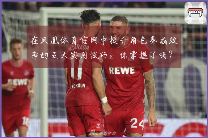 在凤凰体育官网中提升角色养成效率的五大实用技巧，你掌握了吗？