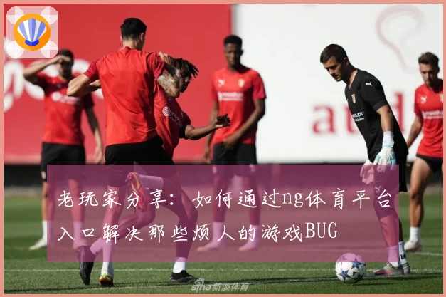 老玩家分享：如何通过ng体育平台入口解决那些烦人的游戏BUG