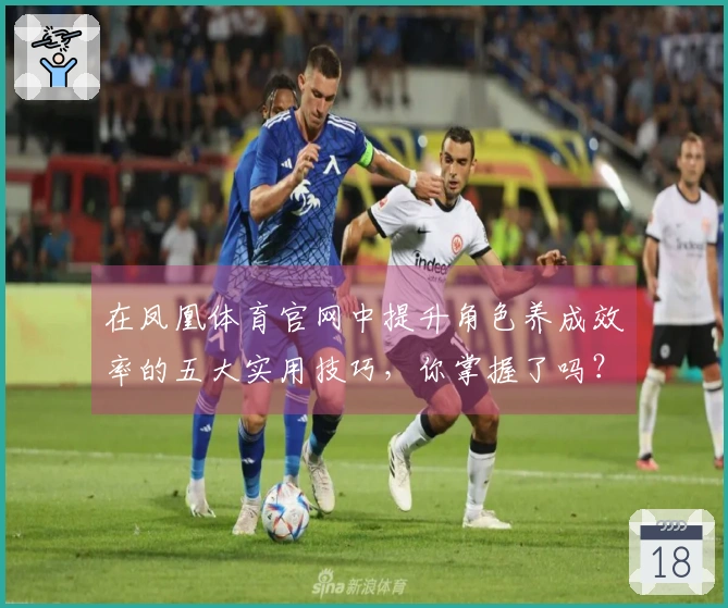 在凤凰体育官网中提升角色养成效率的五大实用技巧，你掌握了吗？